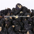 Bagas pretas do goji / wolfberry preto / Lycium ruthenicum murr fruta doce das montanhas